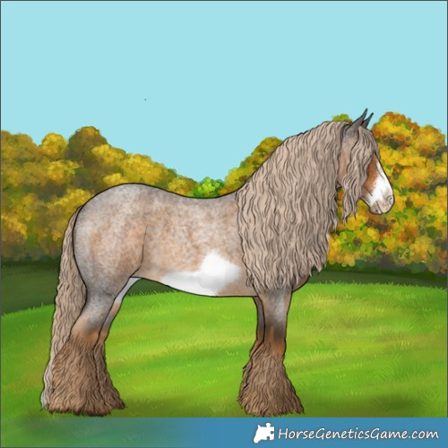 Horse Color:White Spotted Chocolate Palomino Roan Frame 