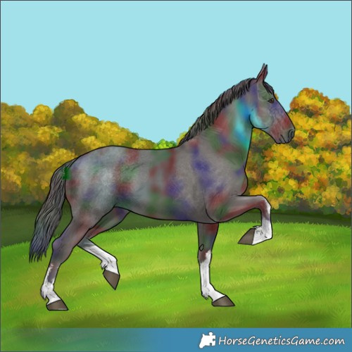 Horse Color:Nacre White Spotted Liver Chestnut