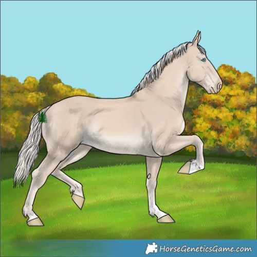 Horse Color:Cremello Tobiano 