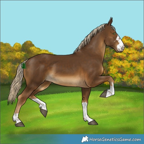 Horse Color:Chocolate Palomino 