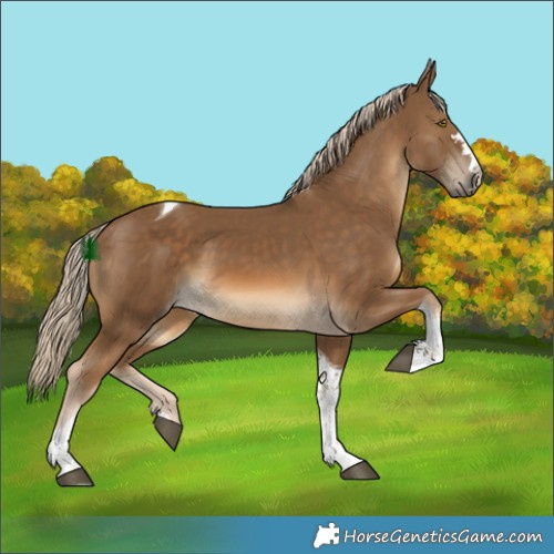 Horse Color:Chocolate Palomino Tobiano 
