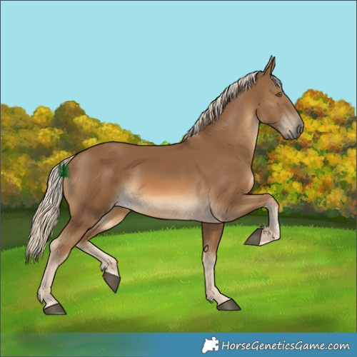 Horse Color:Chocolate Palomino 