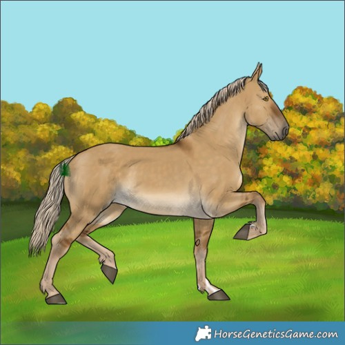 Horse Color:Chocolate Palomino Dun