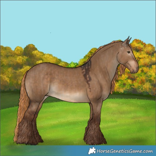 Horse Color:Liver Red Dun Rabicano  and Gray Liver Red Dun Rabicano 