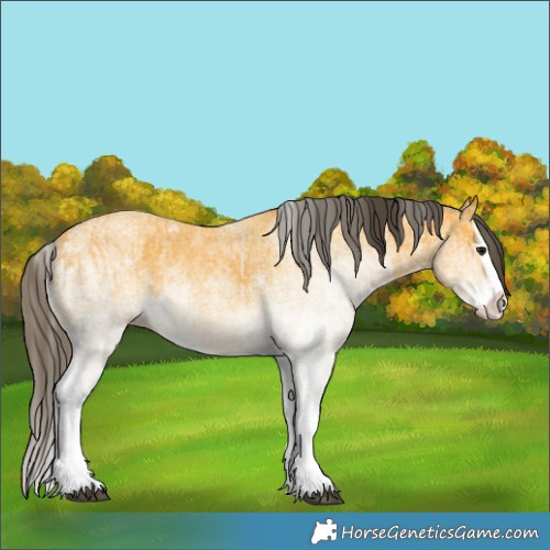 Horse Color:White Spotted Buckskin Splash  and White Spotted Buckskin Splash 