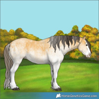 Horse Color:White Spotted Buckskin Splash  and White Spotted Buckskin Splash 
