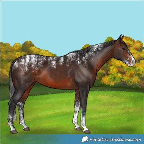 Horse Color:Powder White Brown
