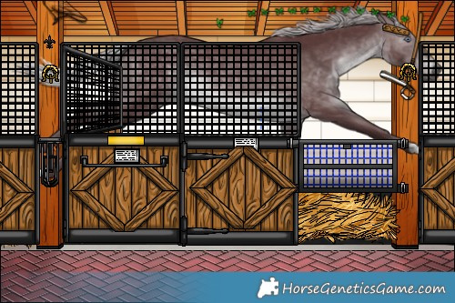 Horse Color:Chocolate Silver Brown Chinchilla 
