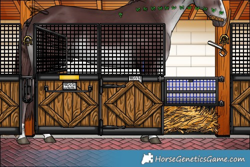 Horse Color:Chocolate Black Chinchilla
