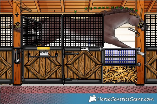 Horse Color:Chocolate Smoky Black Chinchilla