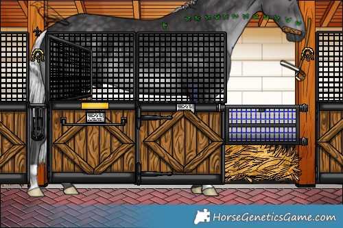 Horse Color:Silver Smoky Black Chinchilla 