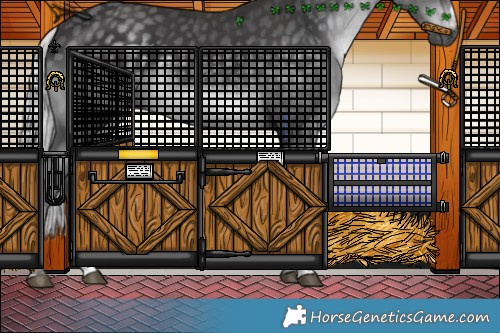 Horse Color:Silver Smoky Black Chinchilla