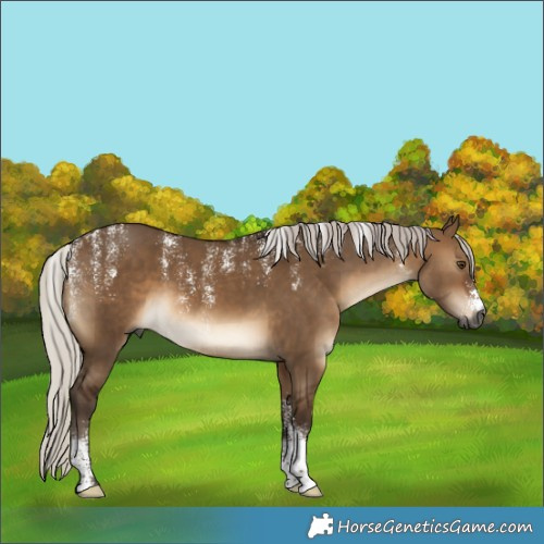 Horse Color:Powder White Gray Silver Bay Dun