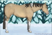 Horse Color:Amber Cream Champagne Tobiano 