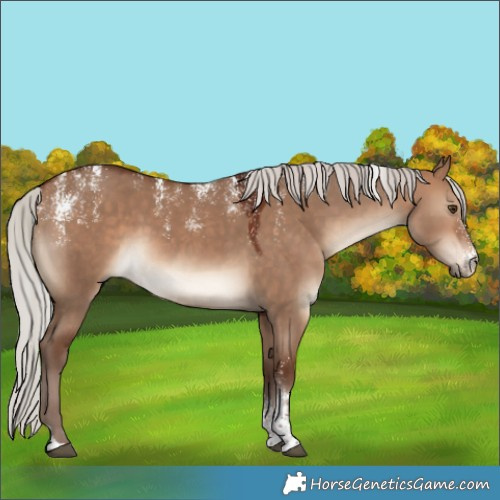Horse Color:Powder White Silver Bay Dun 
