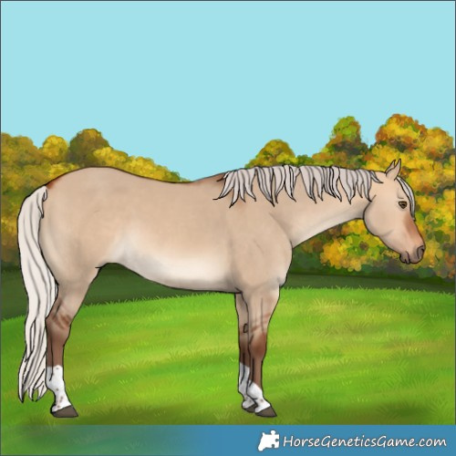 Horse Color:Silver Bay Dun Tobiano 