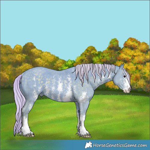 Horse Color:Watercolor Silver Black Sabino Rabicano 