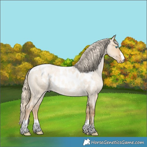 Horse Color:Chocolate Palomino Roan Pearl Dun Skewed Appaloosa