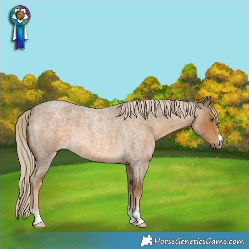Horse Color:Chocolate Palomino Roan