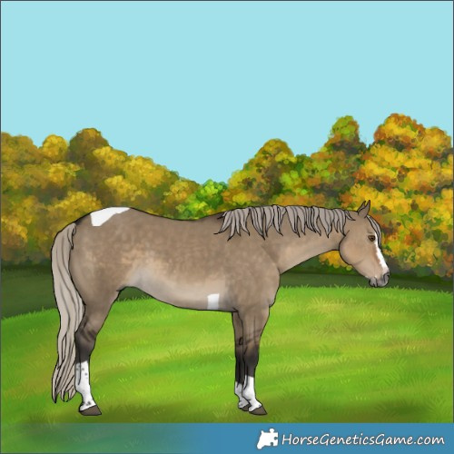 Horse Color:Gray Silver Smoky Grullo Splash Tobiano 