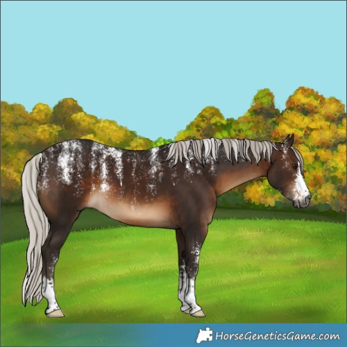 Horse Color:Powder White Gray Silver Bay