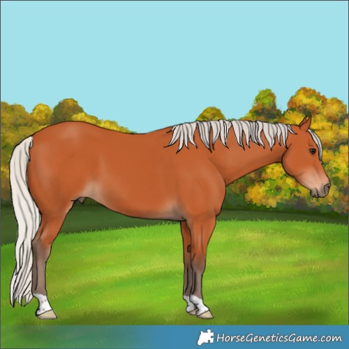 Horse Color:Silver Bay