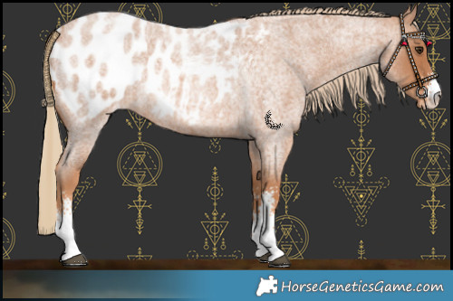 Horse Color:Red Roan Sabino Blanket 