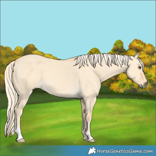 Horse Color:Palomino Dun 