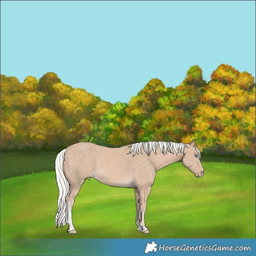 Horse Color:Silver Perlino Tobiano 