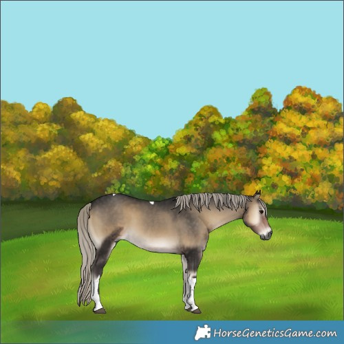 Horse Color:Gray Silver Smoky Blue Onyx Tobiano
