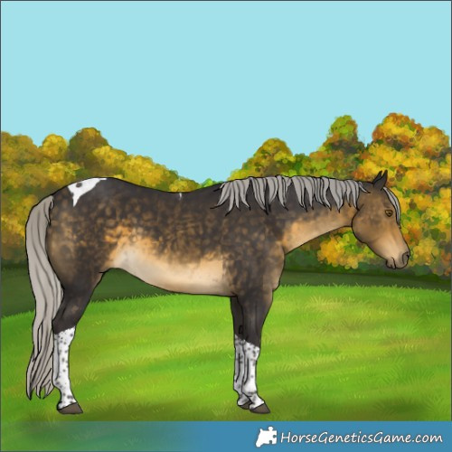 Horse Color:Silver Buckskin Tobiano