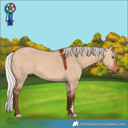 Horse Color:Silver Bay Dun Rabicano