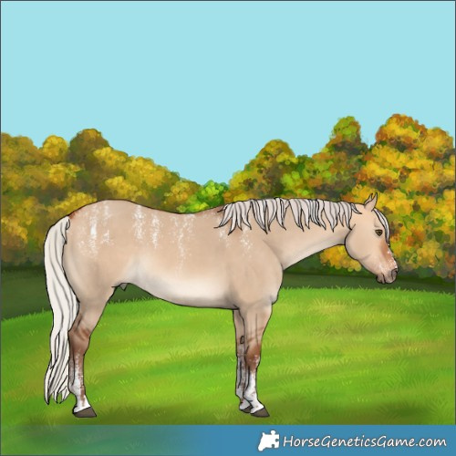Horse Color:Powder White Silver Bay Dun