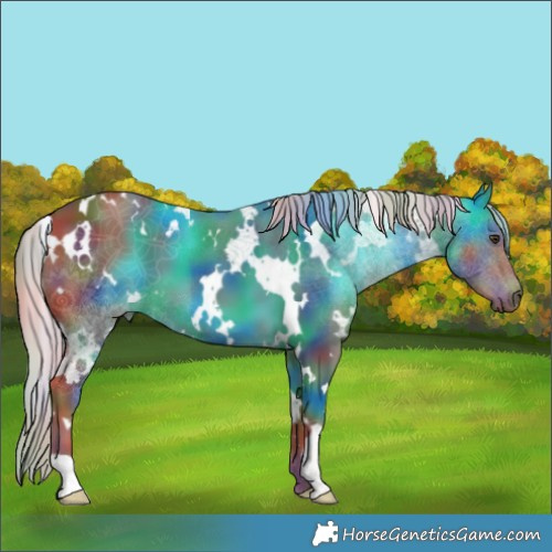 Horse Color:Nacre White Spotted Chestnut 