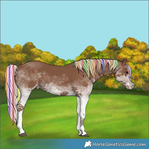 Horse Color:Painted White Spotted Silver Black Tobiano 