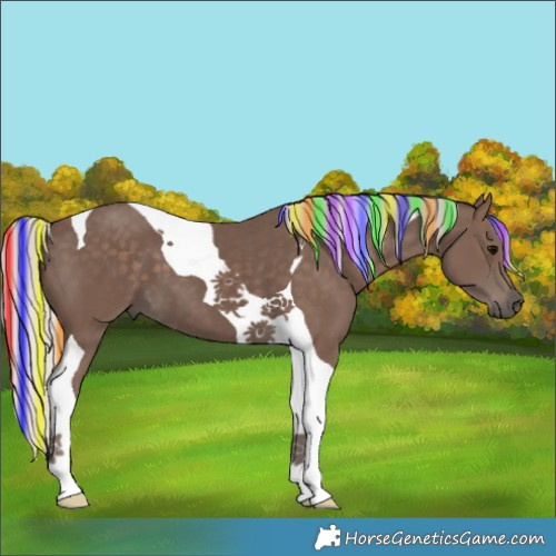 Horse Color:Painted Silver Black Tobiano 