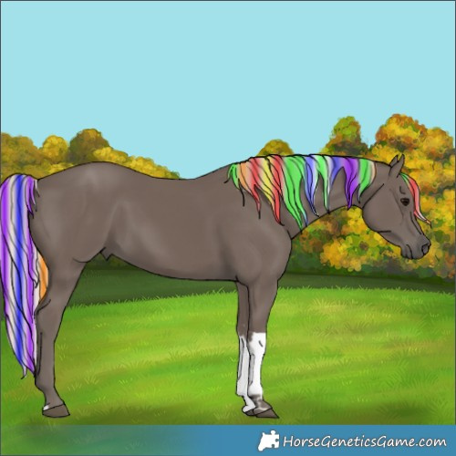 Horse Color:Painted Silver Black Tobiano 