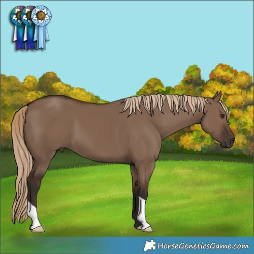 Horse Color:Liver Red Dun 
