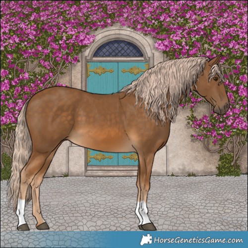 Horse Color:Chocolate Palomino