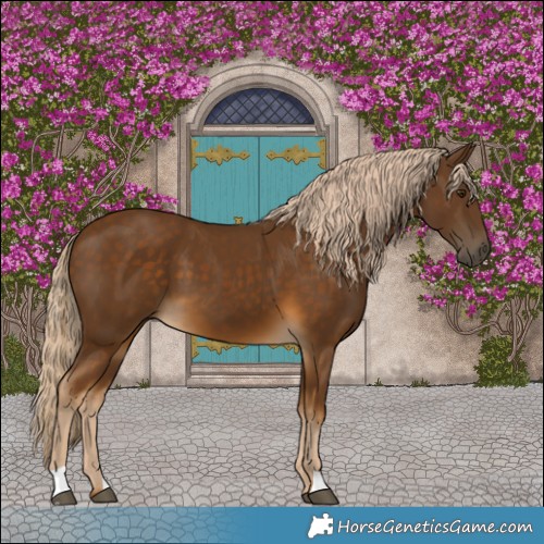 Horse Color:Chocolate Palomino