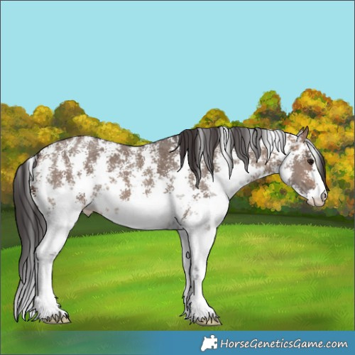 Horse Color:Brown Dun Sabino Brindle