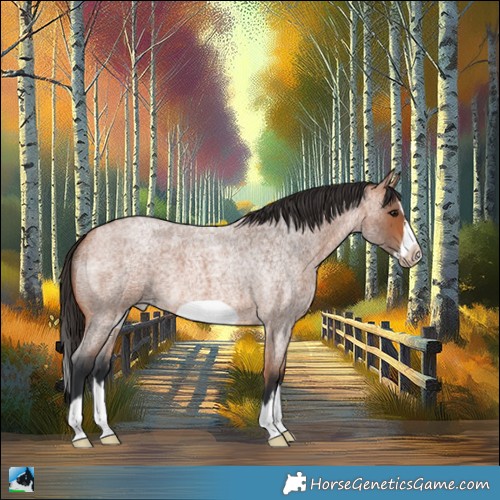 Horse Color:Bay Roan Splash Frame Varnish