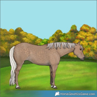 Horse Color:Silver Grullo 