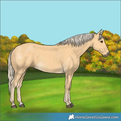 Horse Color:Palomino 