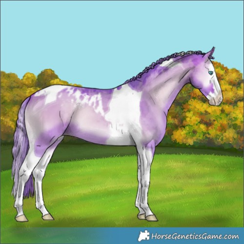 Horse Color:Watercolor Bay Onyx Merle Splash Tobiano Skewed LP Spotted 