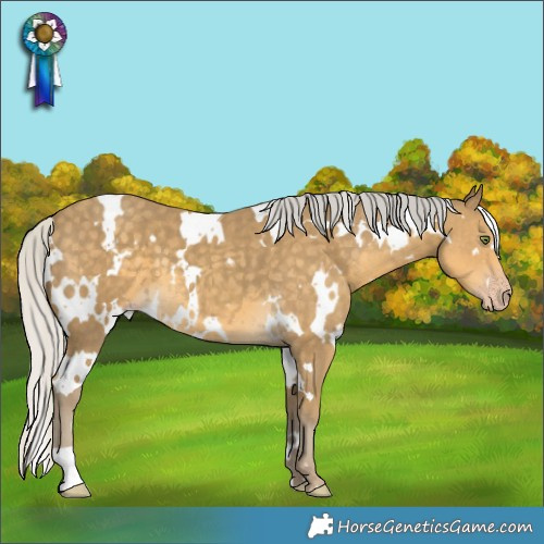 Horse Color:White Spotted Silver Classic Cream Champagne