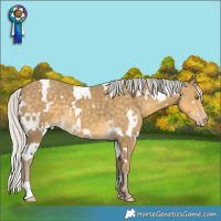 Horse Color:White Spotted Silver Classic Cream Champagne