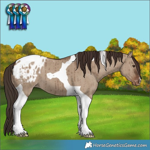 Horse Color:Liver Red Dun Tobiano Appaloosa Brindle