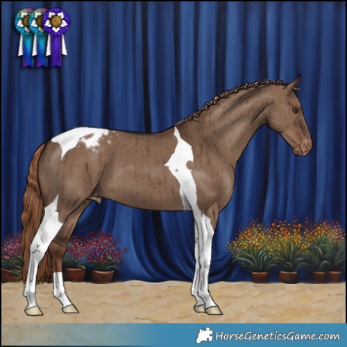 Horse Color:Liver Red Dun Tobiano Varnish Brindle 