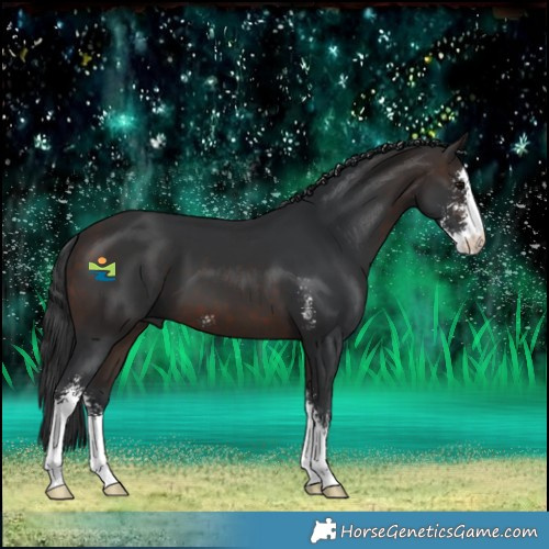 Horse Color:Brown Sabino 